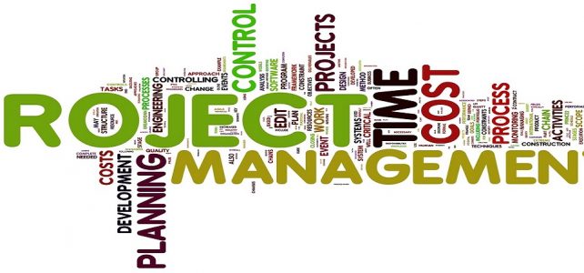 Project Management